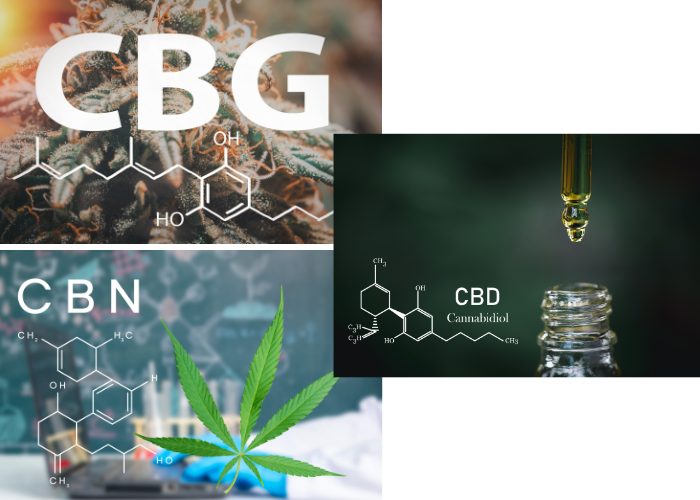 CBD, CBG, CBNの違いとはpart 2？効果の比較ガイド