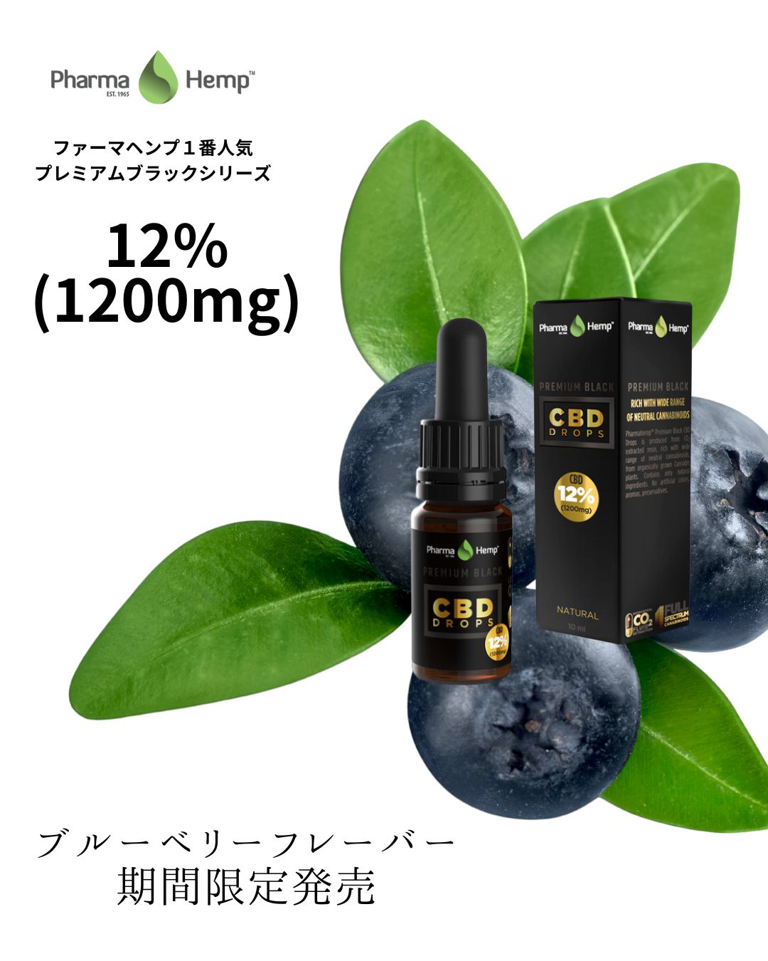 12% プレミアムブラックオイルドロップ　Premium Black Oil Drop 1200mgCBD/10ml