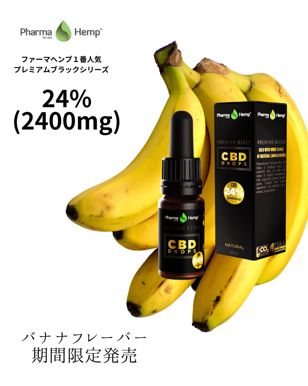 24% プレミアムブラックオイルドロップ Premium Black Oil Drop 2400mgCBD/10ml